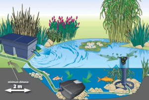 Оборудование для водоема: гарантия гармонии в экосистеме