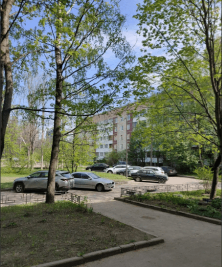 Недвижимость в Санкт-Петербурге