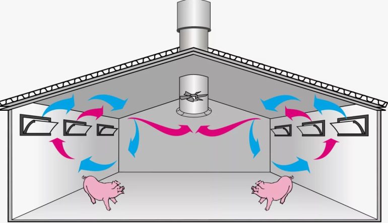 Эффективные способы улучшить вентиляцию в сарае для комфортных условий животных
