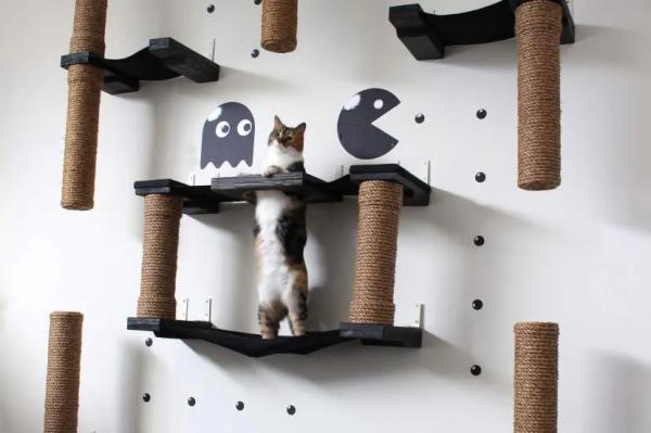 Настенный игровой комплекс для активных котов